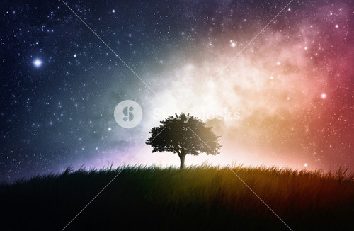 A Tree In A Field With Stunning Space Backdrop