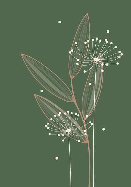 Seeds Leaves Plant Boho Botanical