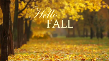 Seasonal Fall